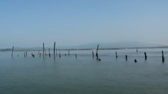 Short of music of Hai Zhiyun _