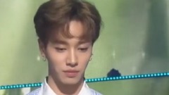 Butterfly arena is mixed cut _BEAST