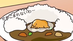 が of source  Zuo  face imposes day of た of っ of