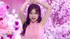 Encounter again - Produce48 advocate - galaxy of K