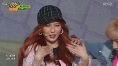 36517/05/19_Triple H of edition of spot of FRESH -