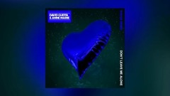 Don't Leave Me Alone _David Guetta, musical short