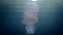 Enigma-Lost In Nothingness_Enigma, musical short