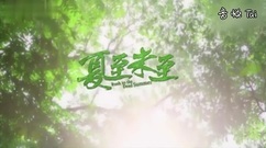 [The Summer Solstice did not come] the 39th collec