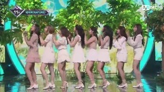 NATURE - Allegro Cantabile M! Put together of Kore