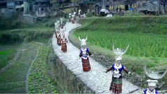 The sweetheart is not happy - galaxy of _ of Qi Xi