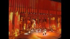 Detailed outline of a book on Chinese medicine - Z