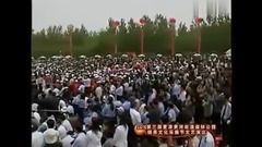 Vernal story - Dong Wenhua of _ of edition of spot