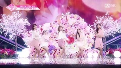 ? ? ? ? @ Produce48 180824_AKB48, korea galaxy, HK