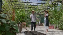 [Disappear for ages] the 39th collect is premonitory [edition exceeding Qing Dynasty] former voice o