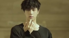 DNA&FAKE LOVE&BLOOD SWEAT&TEARS_ ballproof teenage