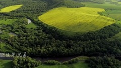 Galaxy of music of _ of Er of shellfish of bird's