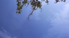 Euramerican galaxy of Once Upon A Time _ , musical