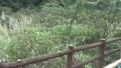 Home Zhang group galaxy of _ of 10 lis of gallery