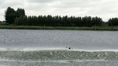 [Su Qiaozheng - jackdaw paddle] scenery of fabulou