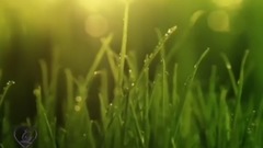 Short of music of Rain My Love_ , light music