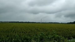 [paddy cropland of Chu Qiu] galaxy of music of fab