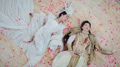 Do not catch ashes of heavy of sweet honey of Cut_ teleplay < to be like frost > galaxy of Chi