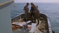 The film " Splash contemporary mermaid " mandari