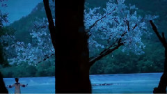 Part of Zheng bright past years group resemble mix