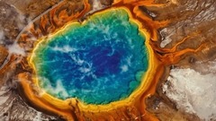 Mad wild beautiful: ? Bar Euramerican galaxy of?-2