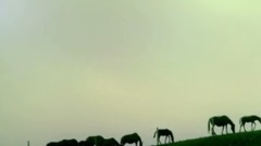 [celestial being rouses art fetch 4] 01. Wait for 