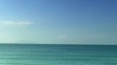 The film " fight broken wolf " former voice of m