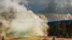 Mad wild beautiful: ? Bar scar of of nigh