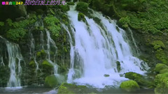 Make an appointment the short of moon _ music on w