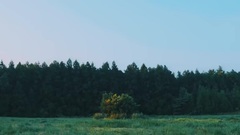 Rain of Regret_ bright