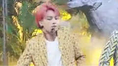 Pat edition IDOL continuously advocate cropland