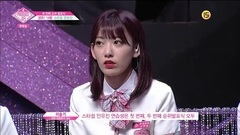 [Group of caption of small oriental cherry] Cut_AK