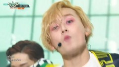 17/05/12_Triple H of edition of spot of Sunflower 