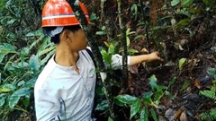 Face dark blue to search orchid write down: ? The