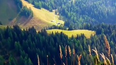 Hiking In The German Alps - Nationalpark Berchtesg