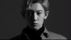 Probably _EXO, lu Han, bian Baixian, piao Canlie, 