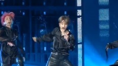 Concert meal of Fake Love - is patted edition advo