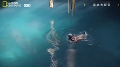 Reductive and dinosaurian final cause of death, le