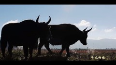 The galaxy of Chinese of fairy tale _ of sweet cas