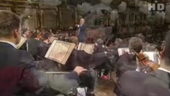 Vienna of _ of concert of Vienna the 10 or 20 days