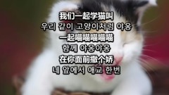 Learn short of music of _ of libretto of meow Sino