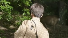 [Wang Junkai] Jie Suozhen hides video 2_ Wang Junkai