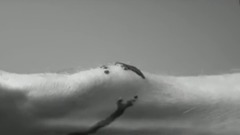 Expert combat poison with poison drills with respe