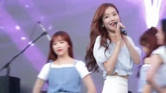 Graceful favour - Tinker Bell head overnight hold