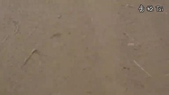 Famous _French Montana, adam Levine