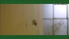 Galaxy of Korea of _ of caption of Chinese of edit