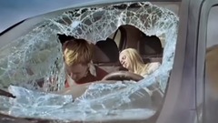 What does safety belt have to use _ Euramerican ga