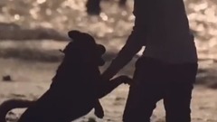 The Peruvian _ scenery of rich and colorful, forme