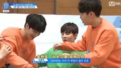 PD202 series reviews | Yellow arrowroot shines and