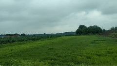 [the whole world from me is transient] scenery of fabulous work _ , former voice of movie and TV, mu